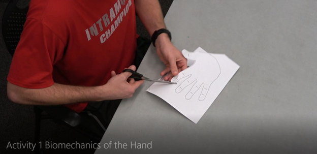 hands cutting paper