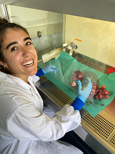 Student working in lab hood with pig heart.