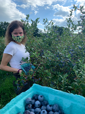 Enjoying socially distanced blueberry picking 