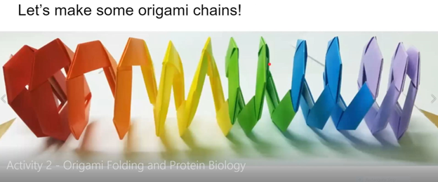 The protein folding origami activity explained proteins as amino acid chains and the concept of intramolecular interactions dictating protein folding through the use of patterned origami paper which fold together to form larger structures. 