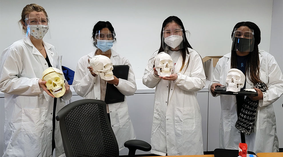 Four students in lab coats holding model human skulls.