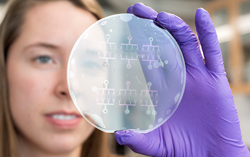 Christine Harper holding a microfluidic device she made at the Cornell NanoScale Science and Technology Facility (CNF).