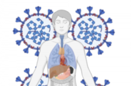 human body with coronavirus illustration