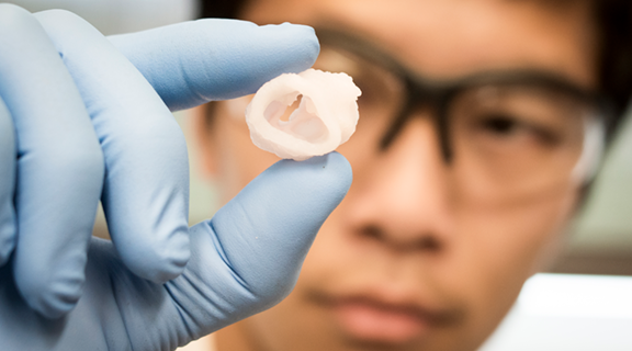 student holding 3d printed heart valve
