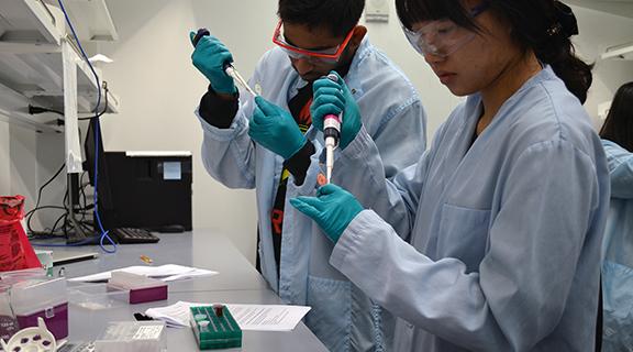 two lab researchers working together