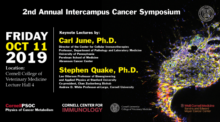 Intercampus Cancer Symposium 2019