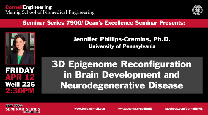 Seminar 7900 with Jennifer Phillips-Cremins flyer